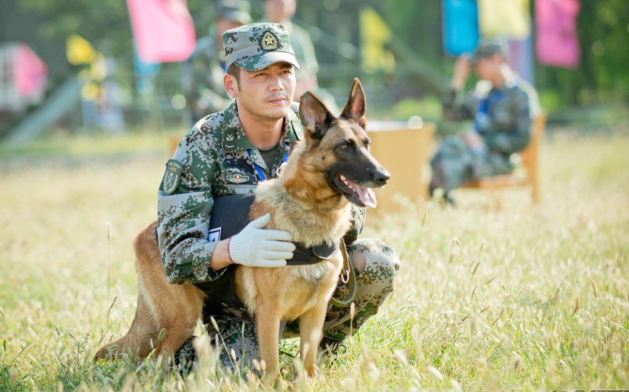 [图]【谁是终极英雄】 《犬王归来》两大高手对决