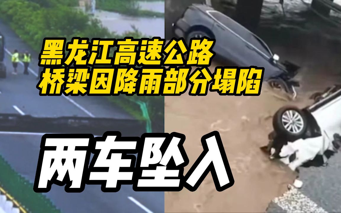 黑龙江一高速公路桥梁因降雨部分塌陷,两车坠入伤亡情况不明哔哩哔哩bilibili