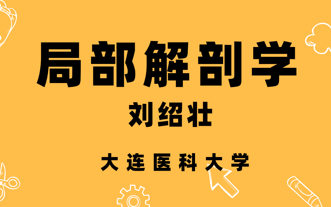 局部解剖学(刘绍壮)大连医科大学哔哩哔哩bilibili