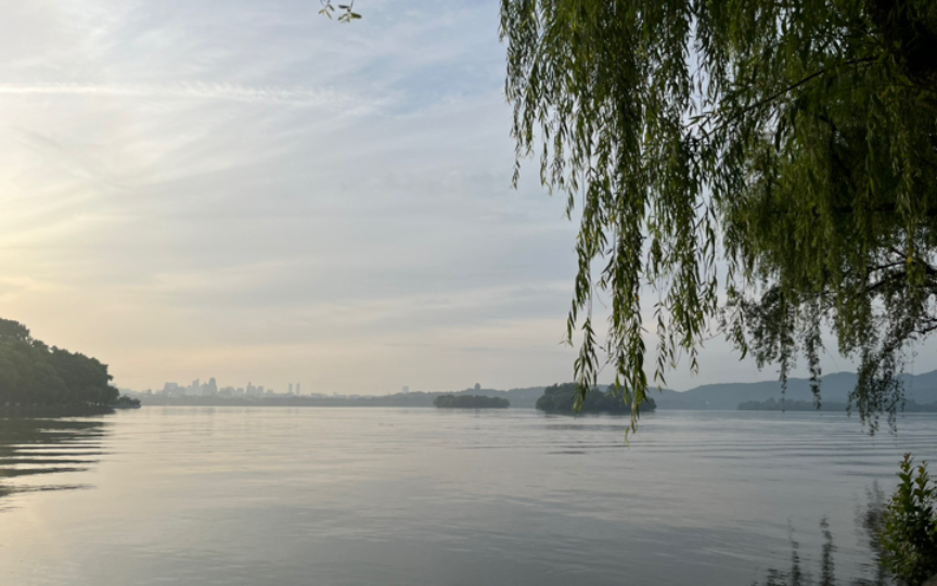 晨曦中的苏堤,夏日的清新画卷