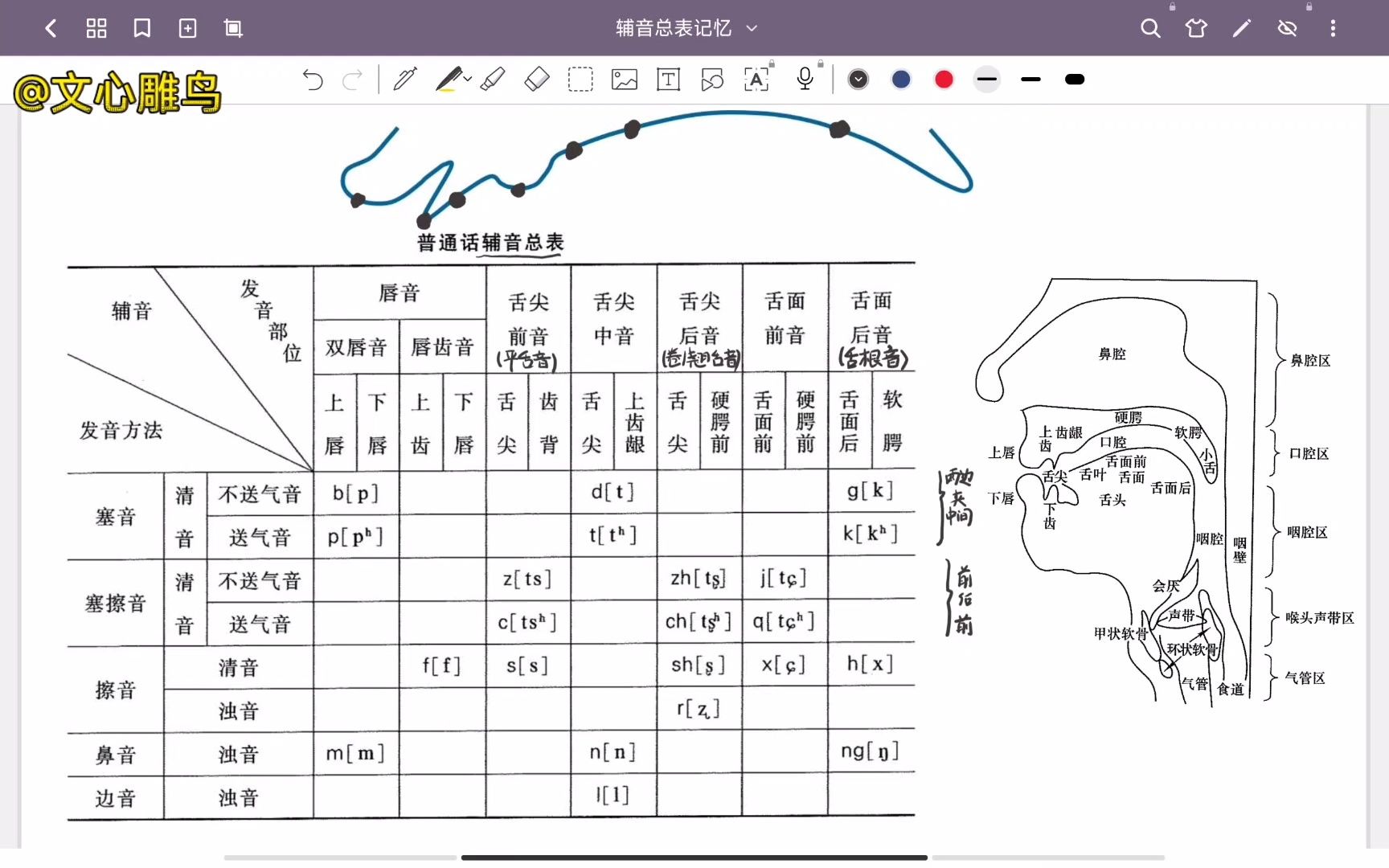 现代汉语(黄廖版)普通话辅音总表记忆方法哔哩哔哩bilibili