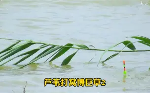 Descargar video: 新方法，专治各种草鱼