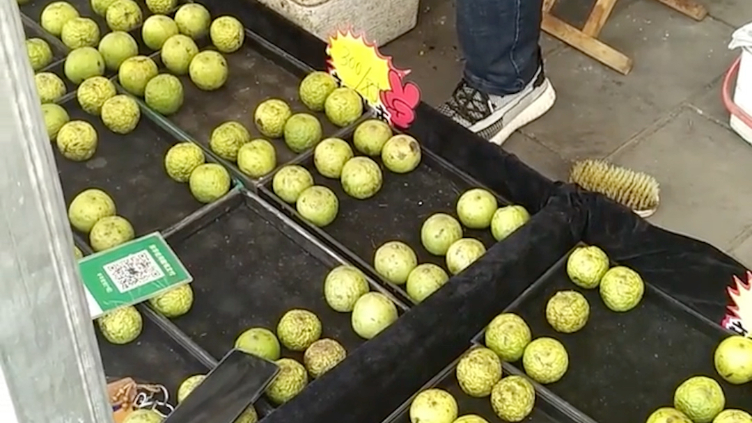 生活剪影潘家园开核桃