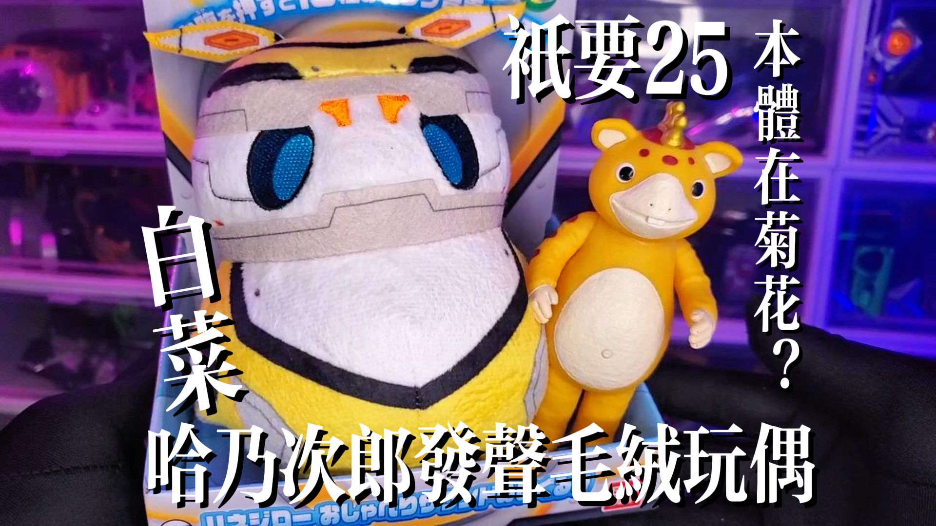 【本体在菊花】德凯奥特曼的台词机!哈乃次郎发声毛绒玩偶!