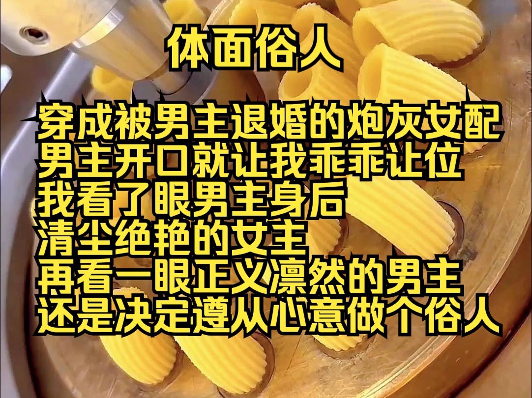 [图]（勉费完结）体面俗人：穿成被男主退婚的炮灰女配，男主开口就让我乖乖让位，我看了眼男主身后清尘绝艳的女主，再看一眼到正义凛然的男主，还是决定遵从心意做个俗人