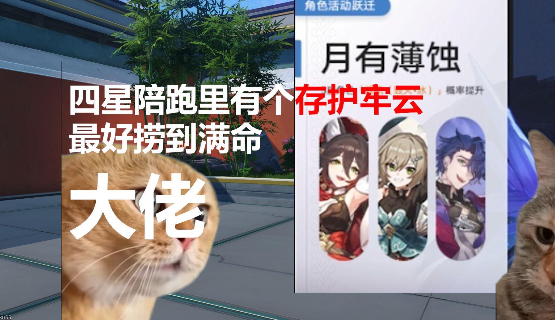 [图]【猫meme】关于我这个逆天青雀厨的一生（上）