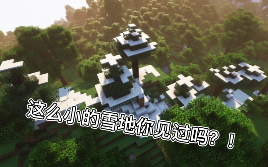 【Minecraft种子】这么小的雪地你见过吗哔哩哔哩bilibili我的世界