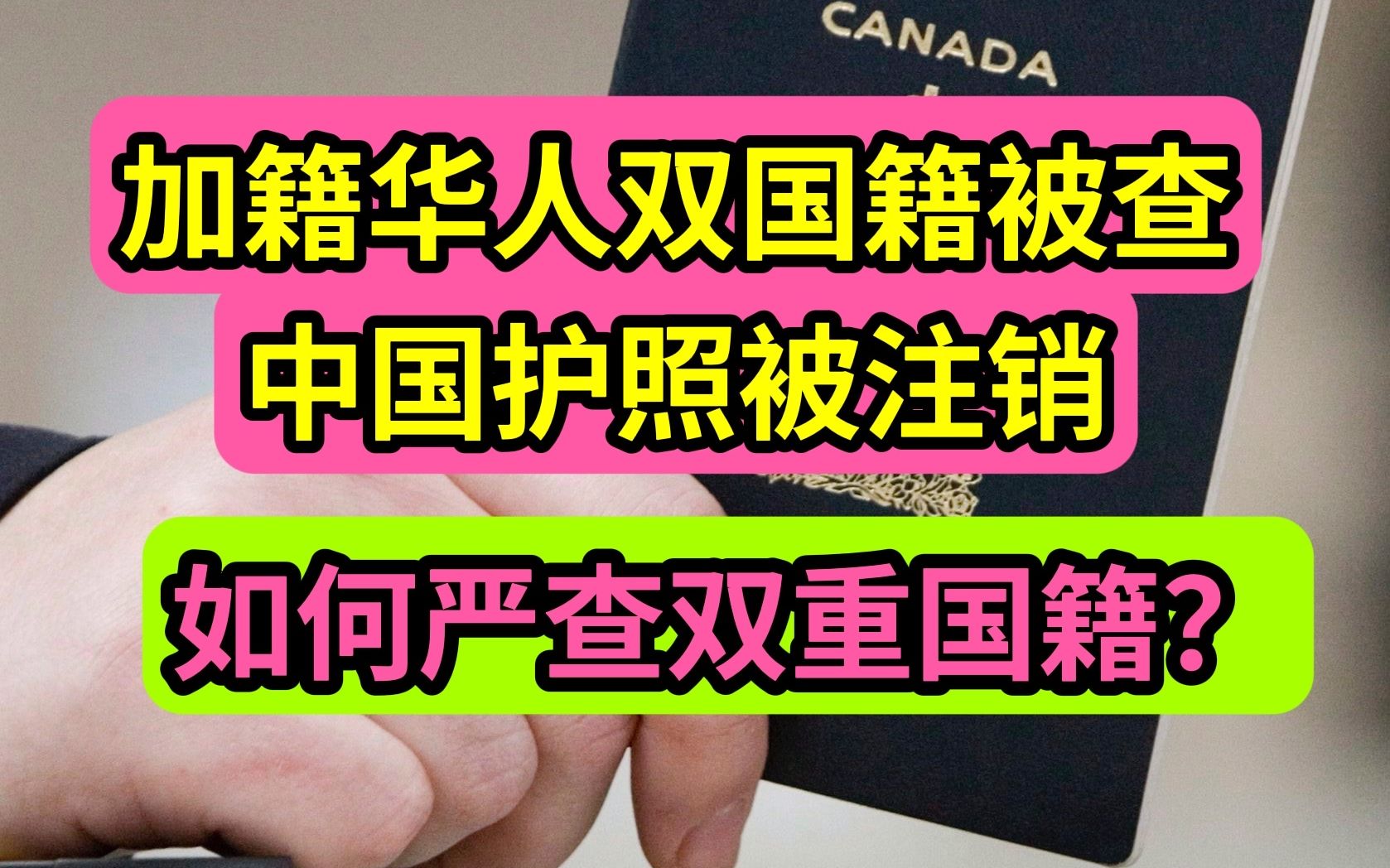 如何严查双重国籍?加拿大籍华人双国籍被查,中国护照被注销,回国绿码被拒哔哩哔哩bilibili