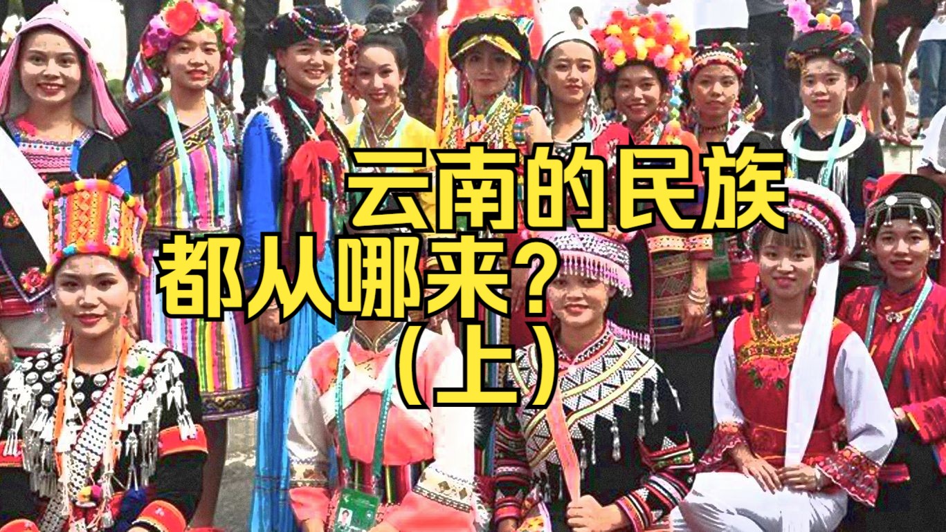 云南的民族都从哪来?(上)哔哩哔哩bilibili