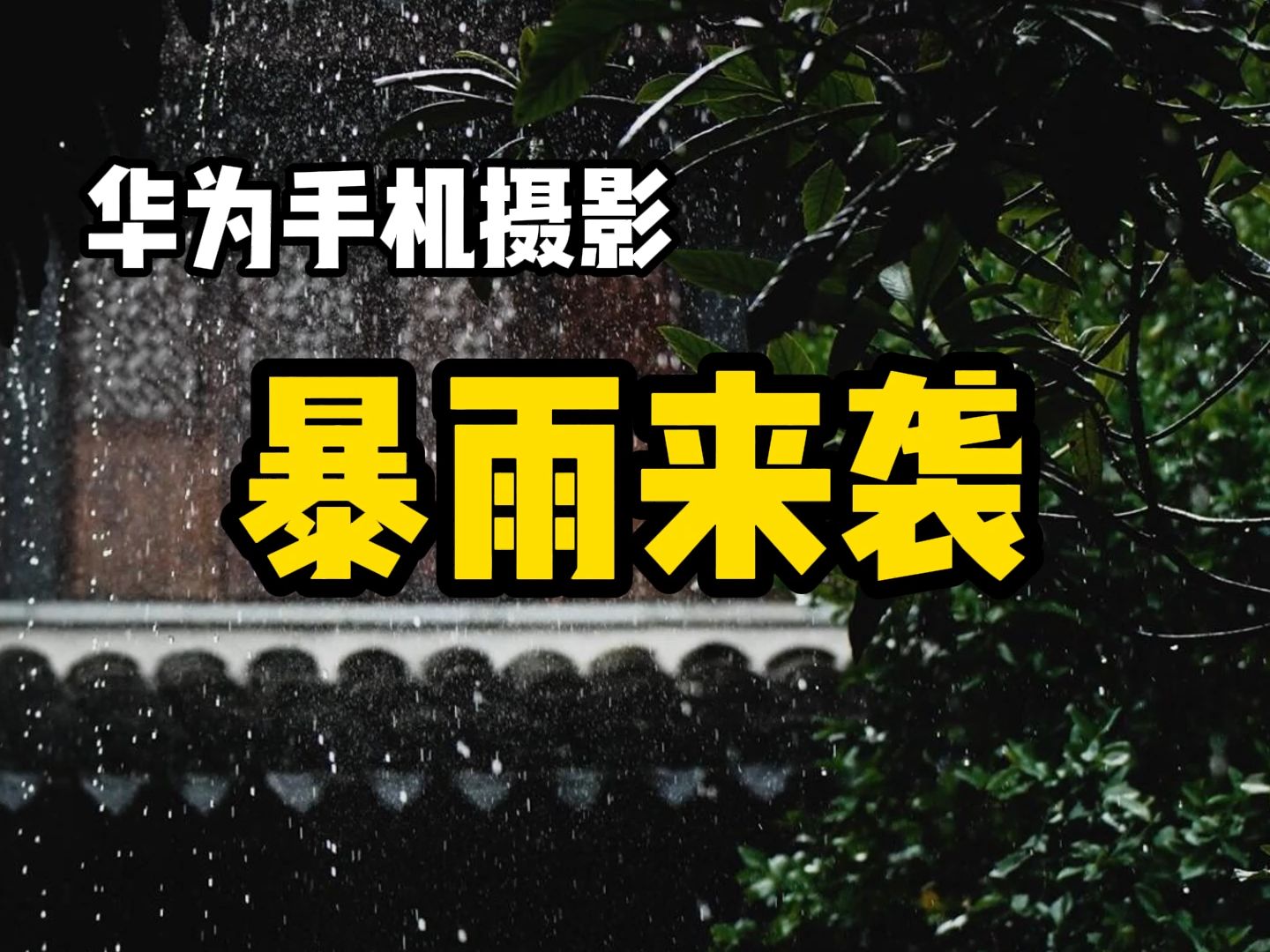 【手机摄影】下大暴雨的摄影艺术怎么来,手机也可以拍雨天哔哩哔哩bilibili