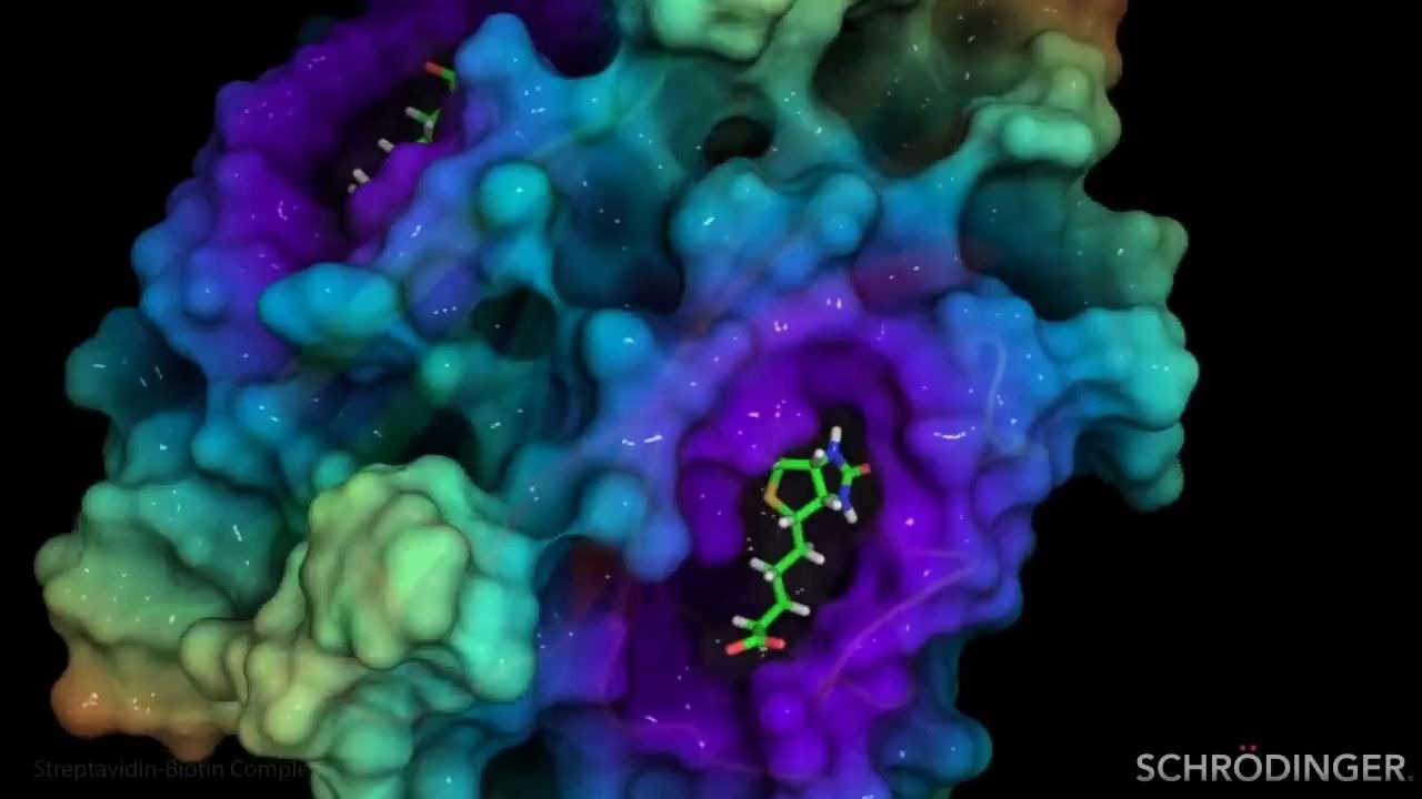 Schr㶤inger软件制作的的科学动画和视觉效果哔哩哔哩bilibili