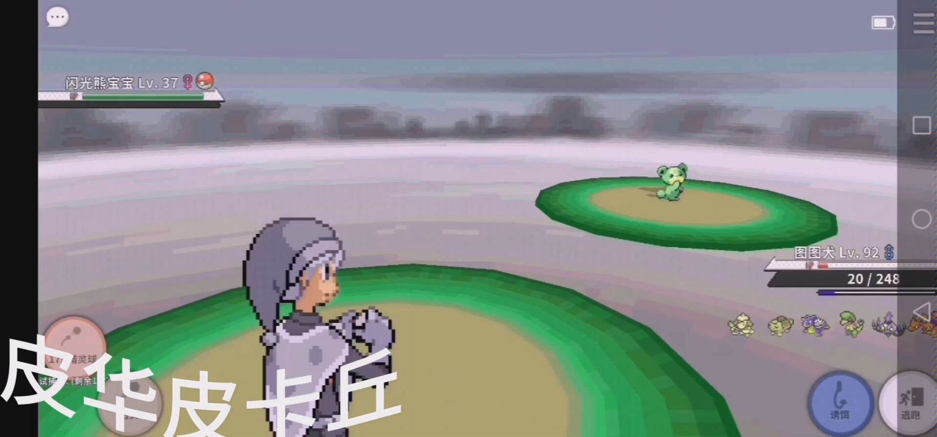 pokemmo,路人闪熊宝宝