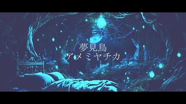 Sakai Noriko COMPLETE DVD BOX disc-3 480p_哔哩哔哩_bilibili