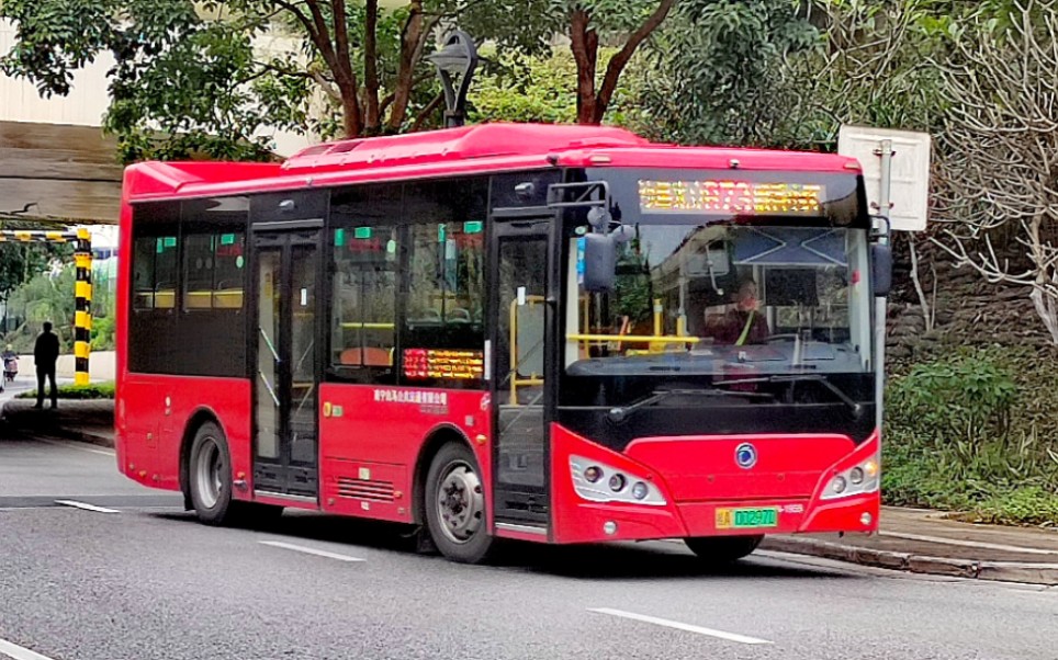 【老嘢装满一车】南宁白马公交B73路(衡阳秀东路口~白沙星光立交)全程前座POV前方展望哔哩哔哩bilibili