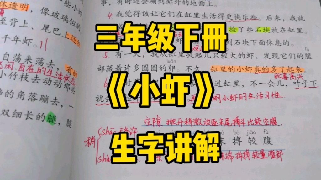 三年级语文下册:《小虾》生字讲解,学习生字的好方法你还记得吗?哔哩哔哩bilibili