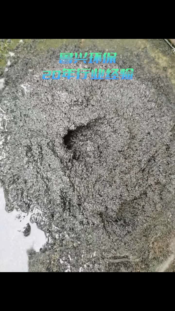 承德厌氧氨氧化菌,贺州厌氧氨氧化污泥,承德厌氧颗粒污泥,江门厌氧