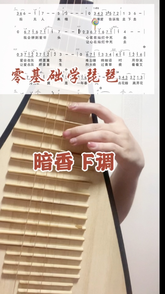 琵琶教学示范:暗香f调