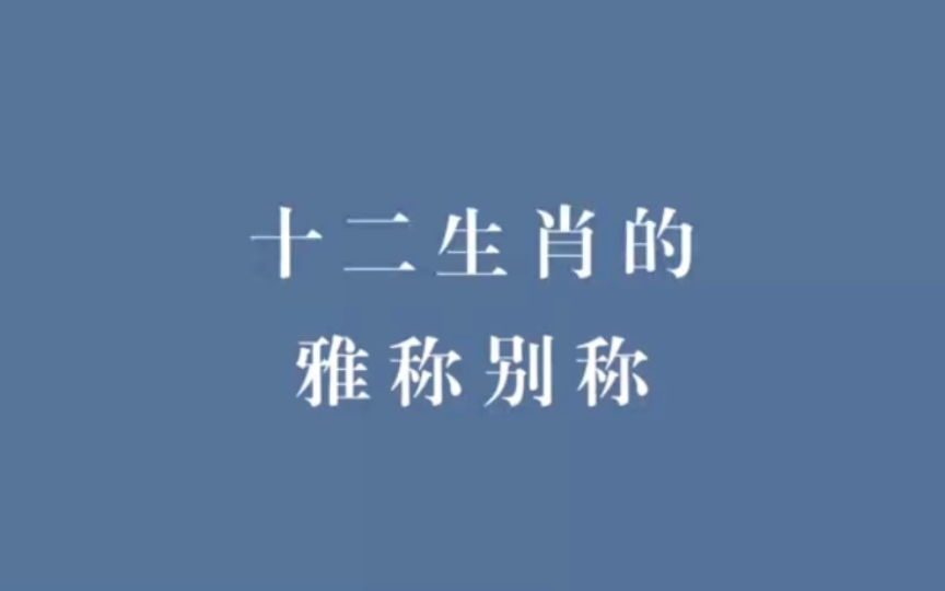 中国人取名有多绝?|十二生肖的绝美雅称,中国传统文化之美哔哩哔哩bilibili