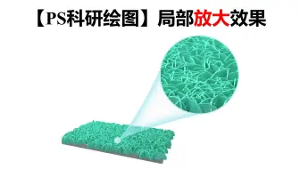 【PS科研绘图】局部放大效果