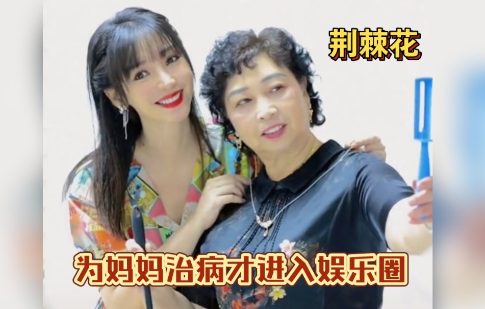 柳岩为了给妈妈治病才娱乐圈!柳岩逆境中生长的荆棘花!