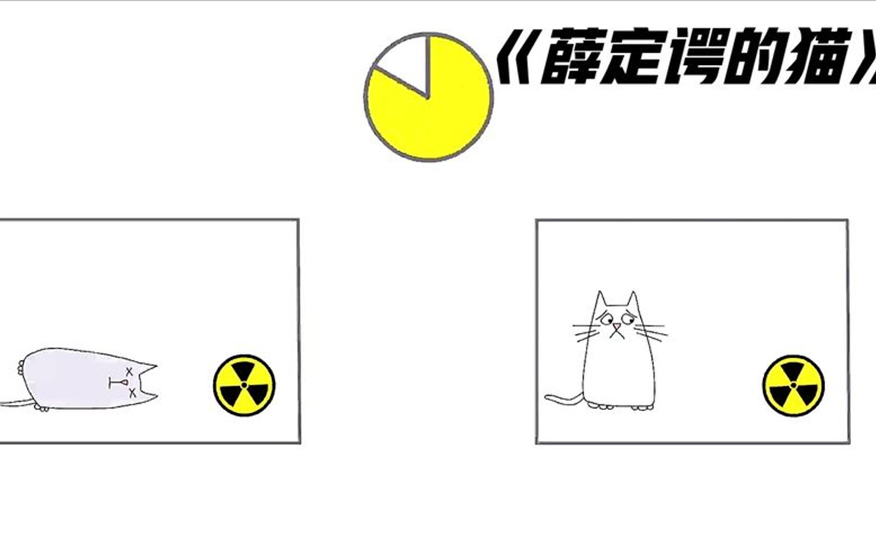 薛定谔的猫究竟有多可怕,为什么可以让物理学家们抓狂?哔哩哔哩bilibili