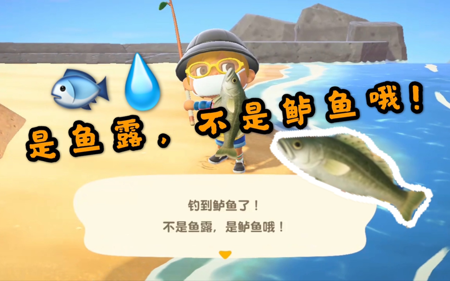是 鱼 露 , 不 是 鲈 鱼 哦 !