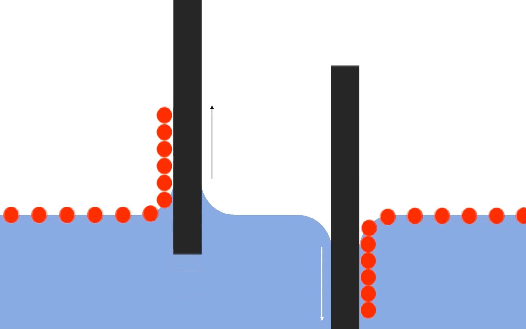 LangmuirBlodgett Trough Tutorial  Part IV Deposition of a monolayer哔哩哔哩bilibili