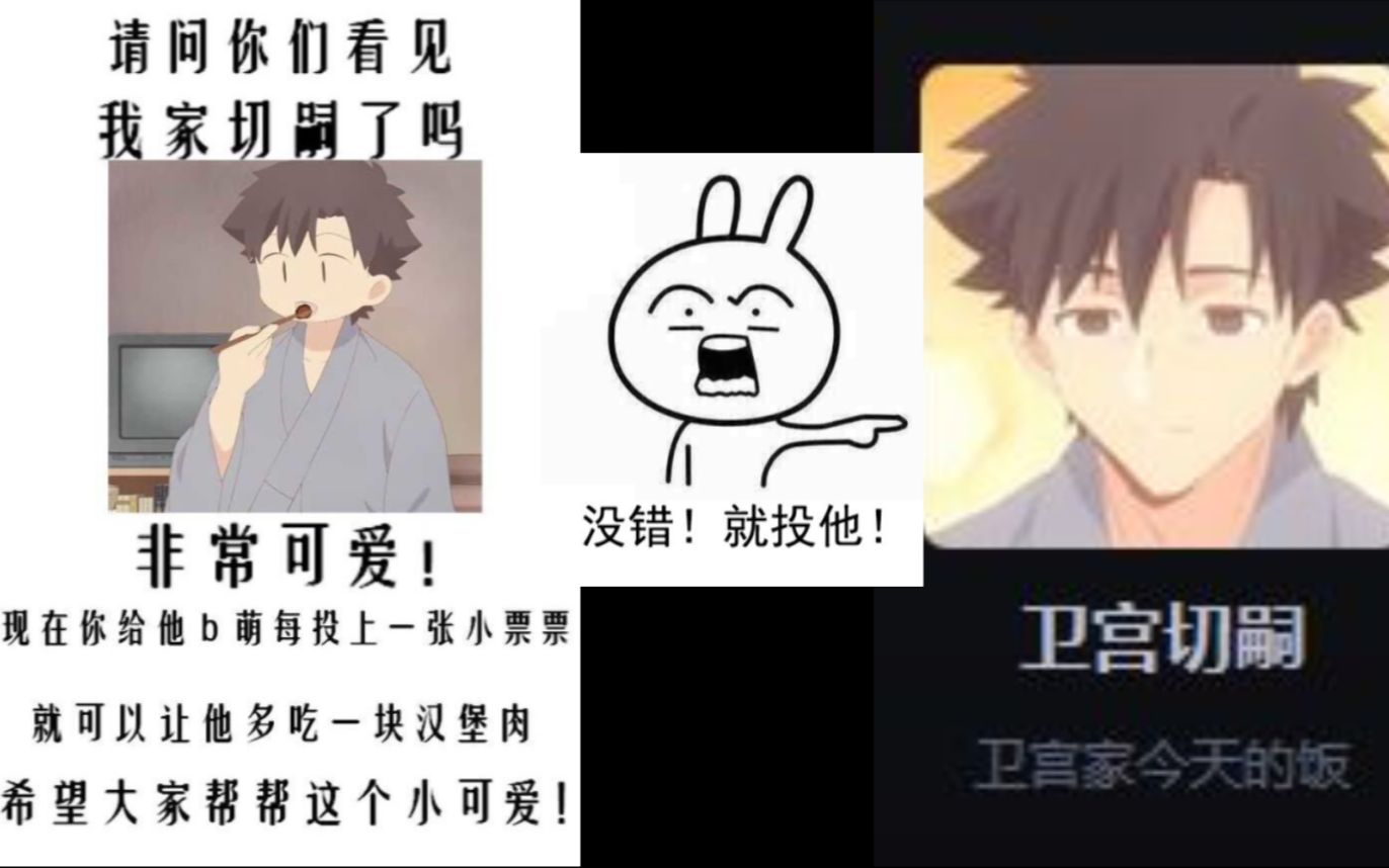 【卫宫切嗣应援】哪里有我的家哔哩哔哩bilibili