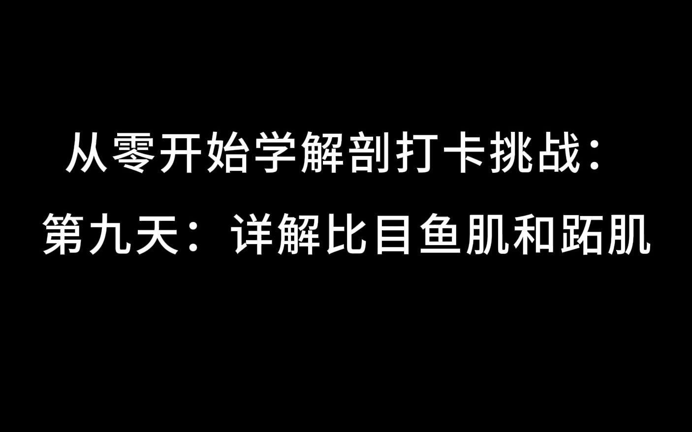 从零开始学解剖打卡挑战:第九天:详解比目鱼肌和跖肌哔哩哔哩bilibili