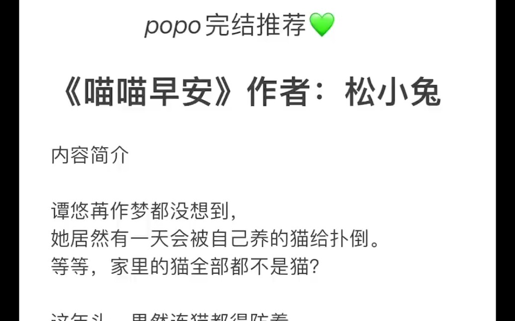 【popo完结推荐】《喵喵早安》作者:松小兔【全文无删减txt阅读】哔哩哔哩bilibili