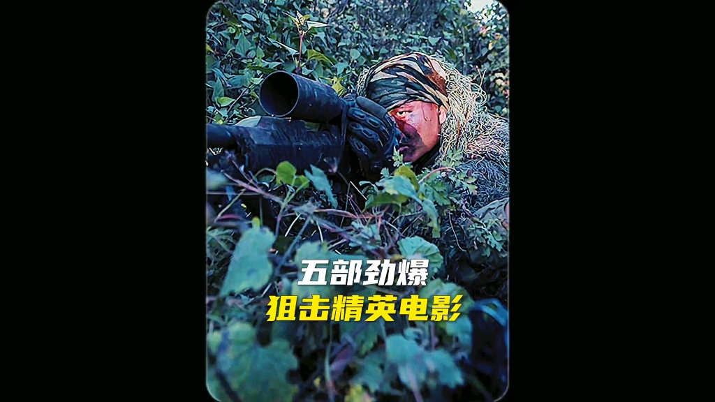 五部劲爆狙击手电影推荐,情节爆燃,建议收藏哔哩哔哩bilibili