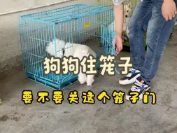 Descargar video: 狗狗住笼子，要不要关笼子门？我都不知道谁能问出这样的问题。