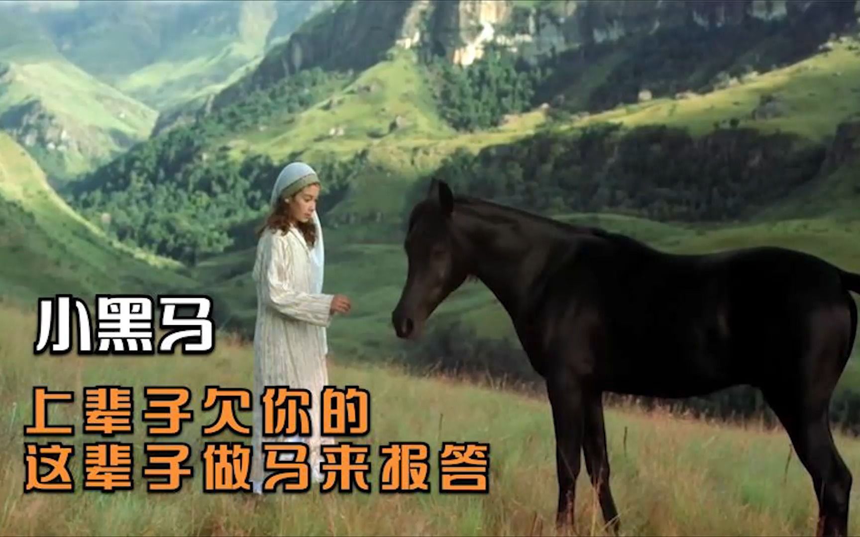 电影:迷路女孩在沙漠救下一匹野马,为报恩,小黑马把她送回了家