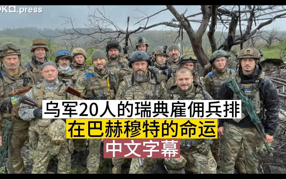 [图]惨！这20个瑞典雇佣兵在巴赫穆特战役里没活几个，活下来长的Kep 现在是连长，而 Lock 已成为瑞典人的首领