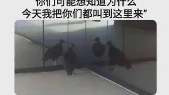 ⚡网友们的神评论（1852）⚡快乐每一天