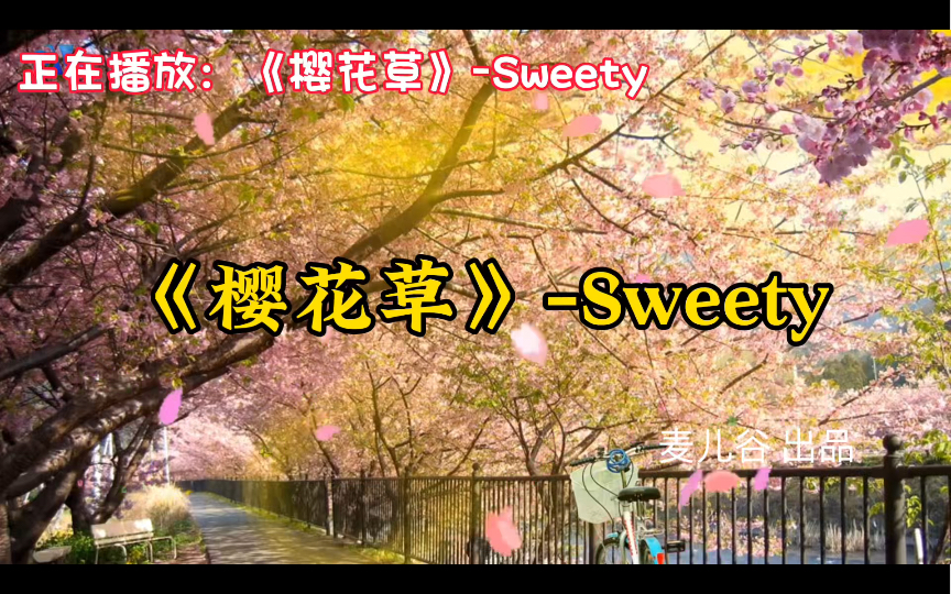 《樱花草》Sweety,超好听90后华语经典歌曲合集,音乐推荐哔哩哔哩bilibili