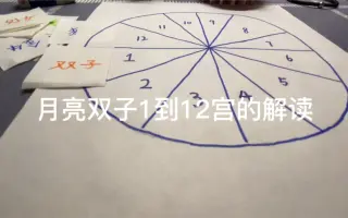 月亮双子 搜索结果 哔哩哔哩 Bilibili