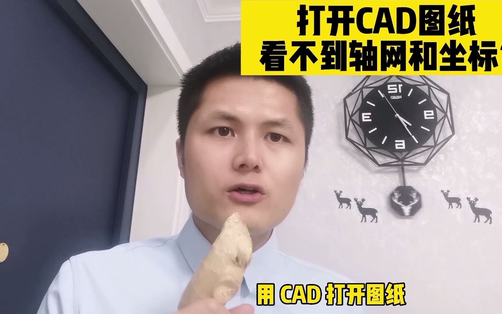 打开CAD图纸,看不到轴网和坐标?用CAD快速看图打开又能看到!哔哩哔哩bilibili