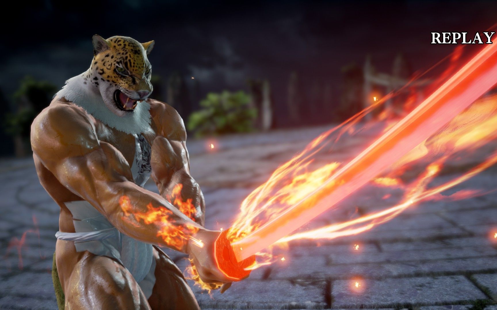 灵魂能力6 日常豹王r