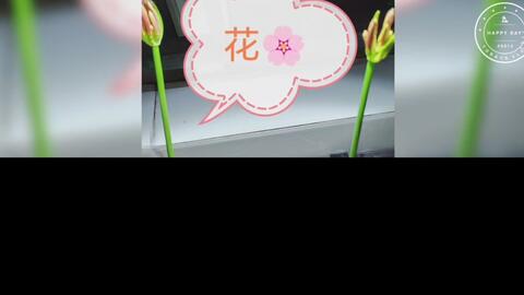 彼岸花_哔哩哔哩_bilibili