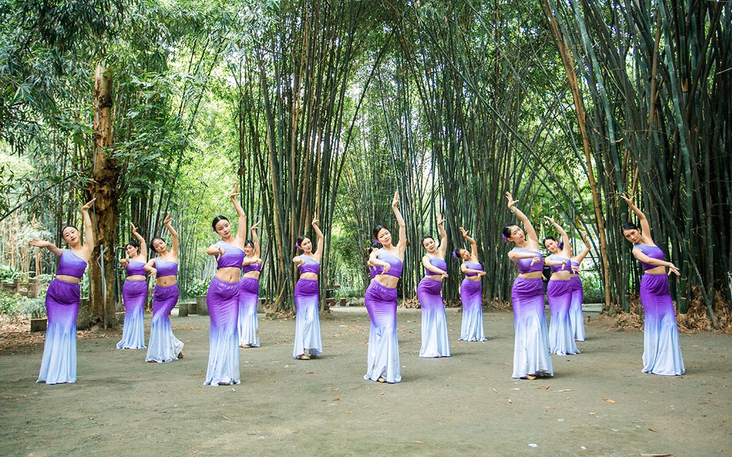 活动作品最美三道弯经典傣族舞花楼恋歌单色舞蹈