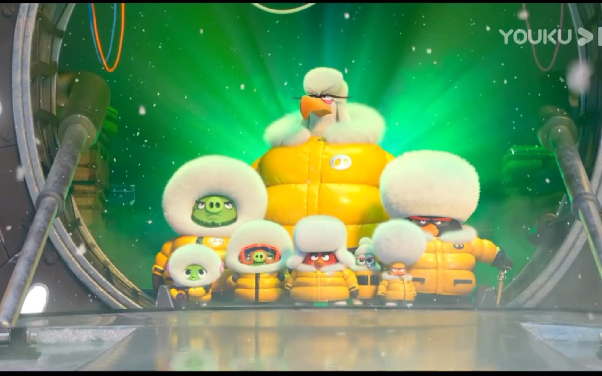 胖红团队炫酷登岸