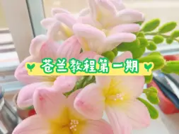 Download Video: 挑战用扭扭棒做1000种花卉（苍兰教程第一期）