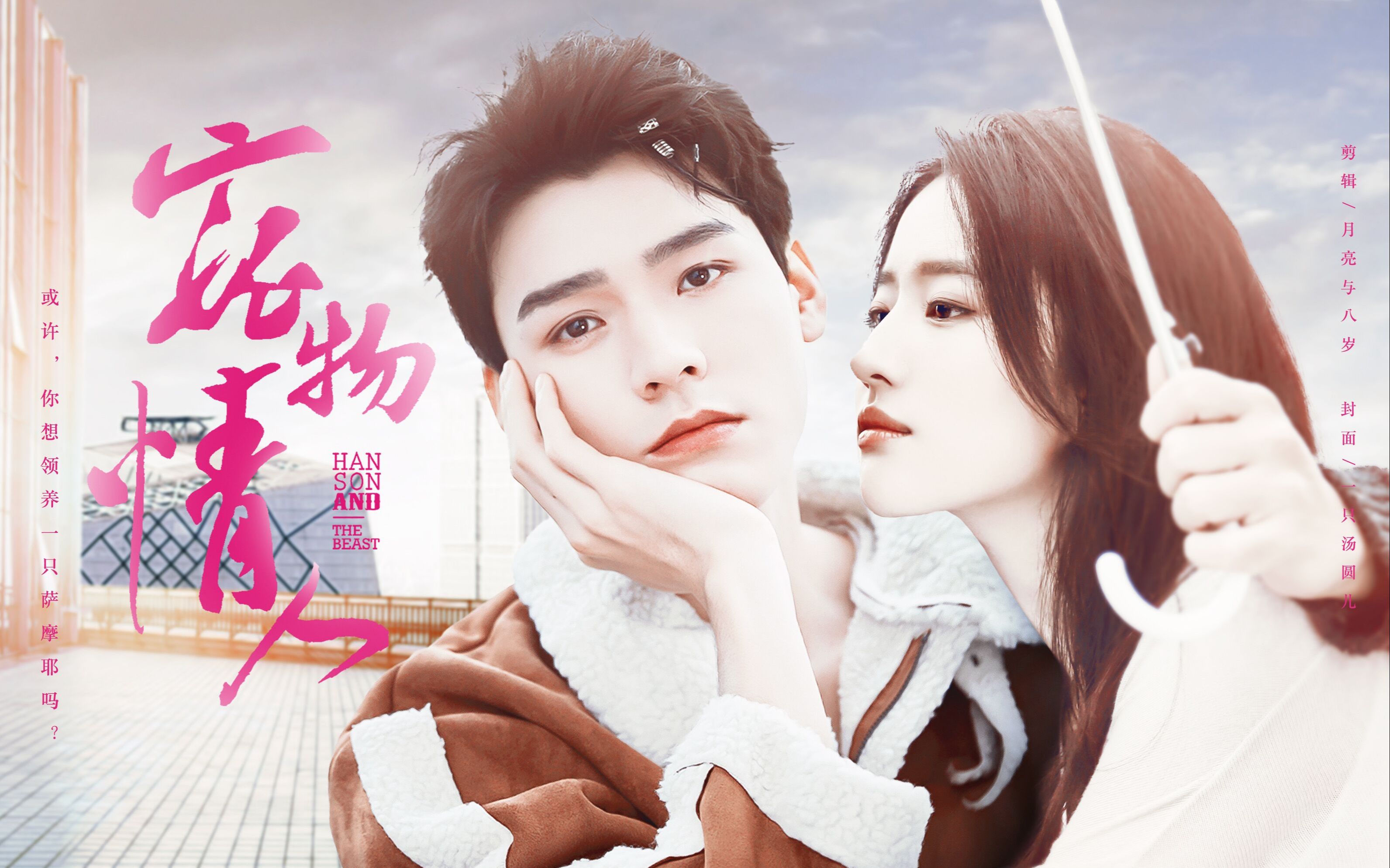 【龚俊x刘亦菲 | 王俊凯 | 白敬亭】或许,你想领养一只萨摩耶吗?