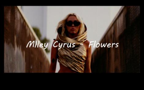 [MV中英字幕] 麦粒Miley Cyrus  Flowers哔哩哔哩bilibili