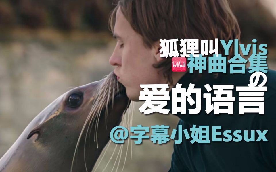 【狐狸叫Ylvis 神曲合集】之 爱的语言(颠覆三观)哔哩哔哩bilibili