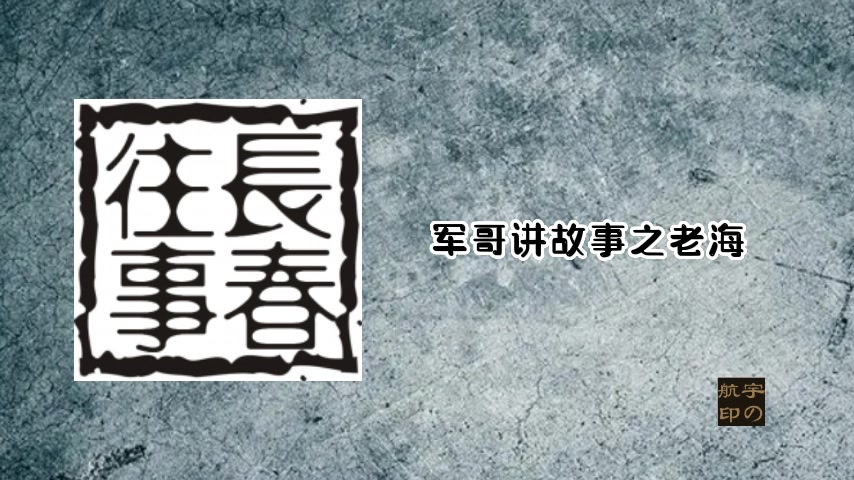 军哥讲故事之老海哔哩哔哩bilibili