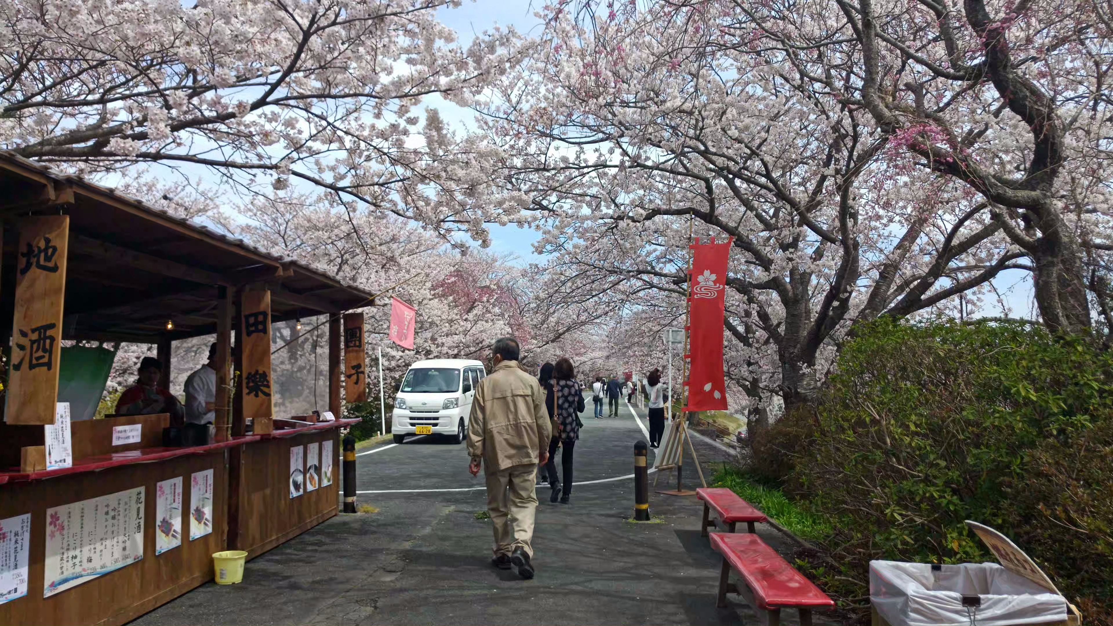 日本三重伊勢神宮前櫻花小道