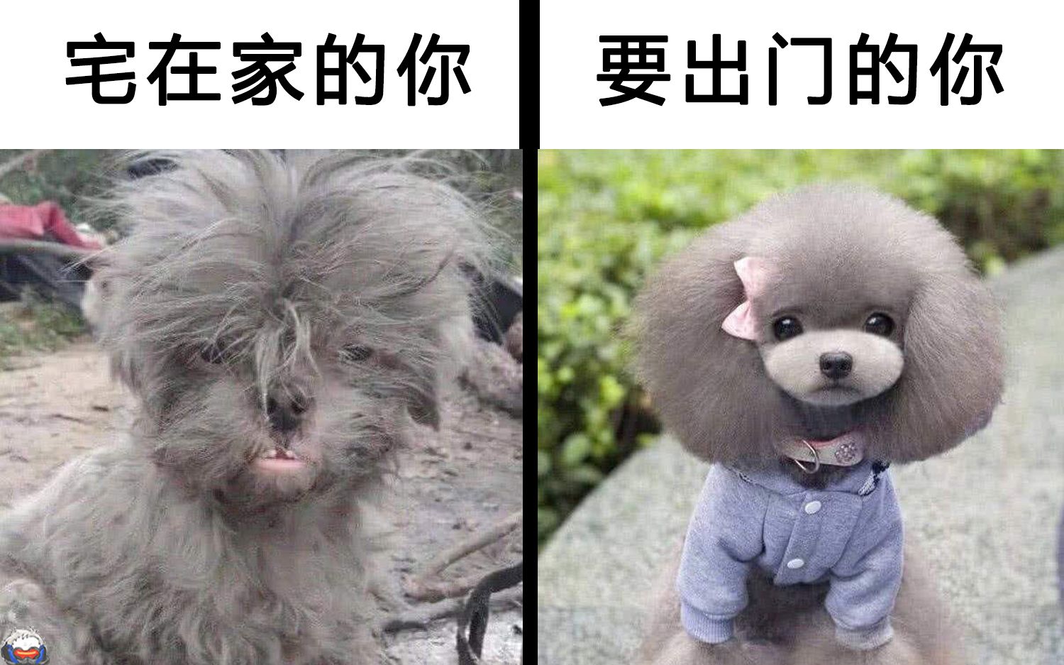 宅在家的你vs要出门的你(`99ω9907)网络上那些爆笑的沙雕图|第