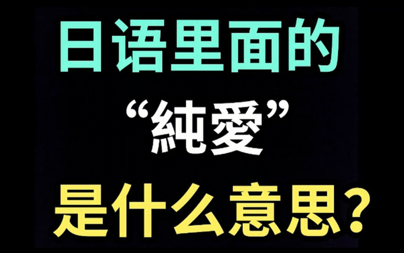 日语里的“纯爱”是什么意思?【每天一个生草日语】哔哩哔哩bilibili